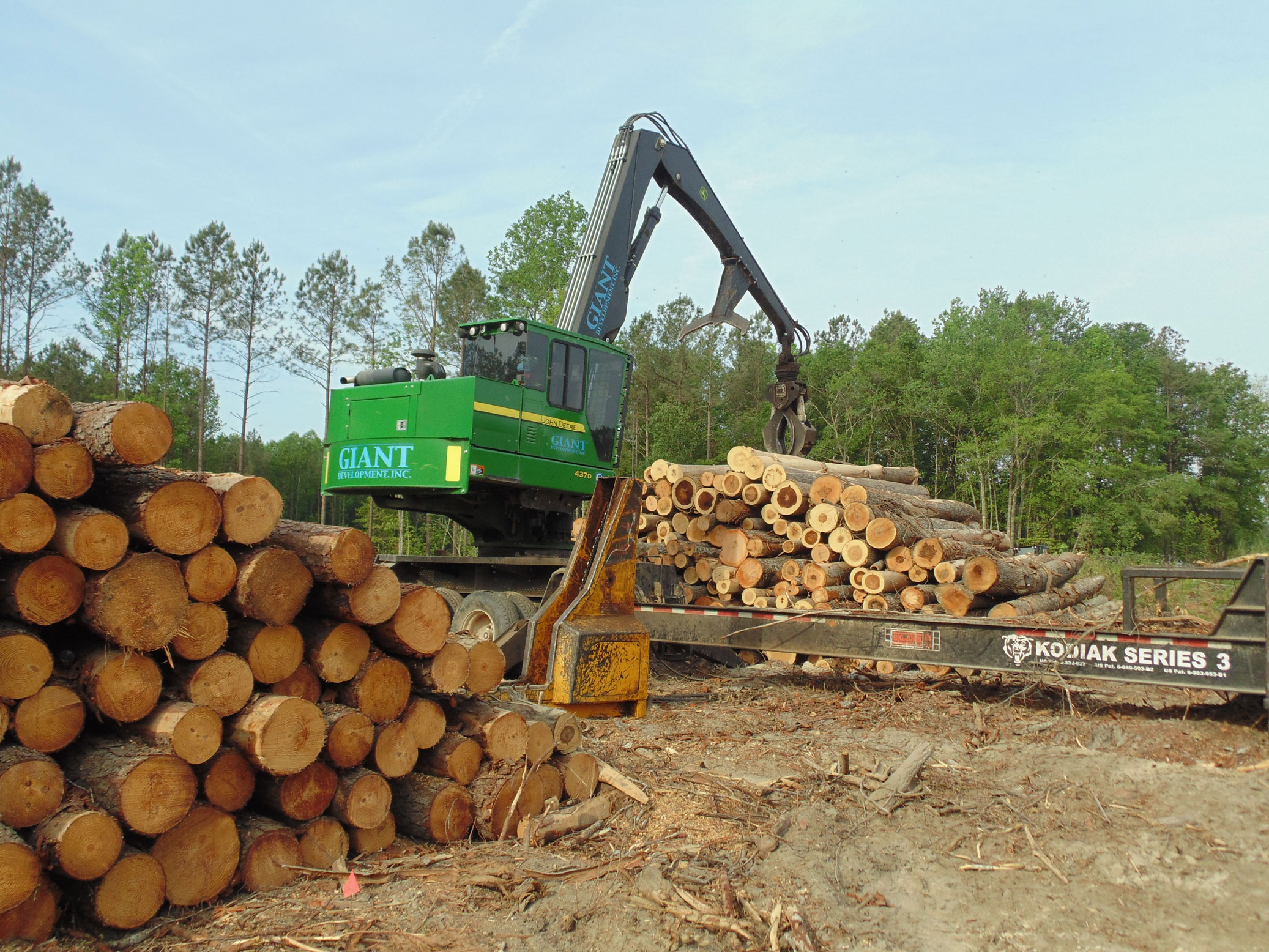 LandClearingRaleighNCMeadowbrook Giant Development