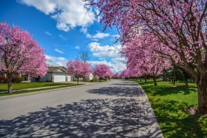 Street Repair and Patching in Chapel Hill