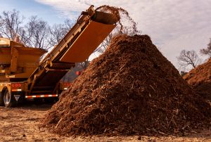 mulching-beaver-creek-apex-nc