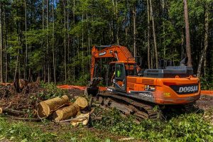 Site Development in Chapel Hill