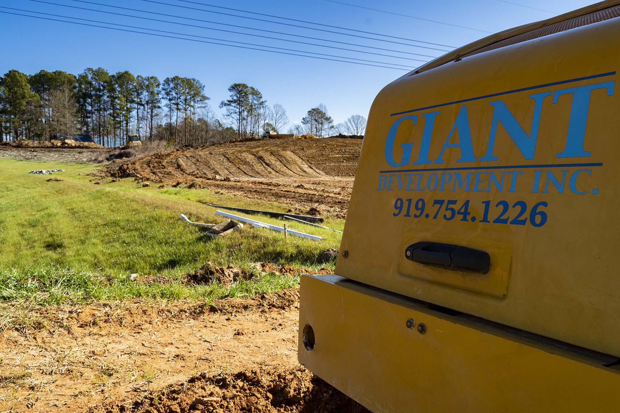 Highland Forest Giant Development